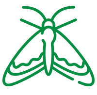 Moths icon1