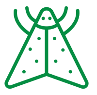 Moths icon5