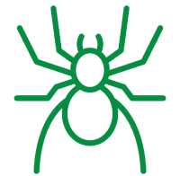 Spiders icon3