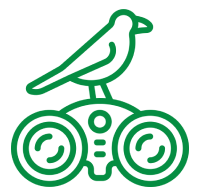 birds icon3
