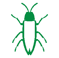 cockroaches icon1
