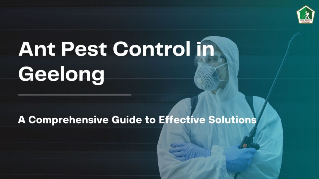 ant pest control geelong