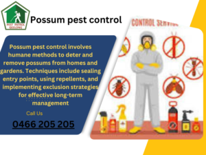 pest control service