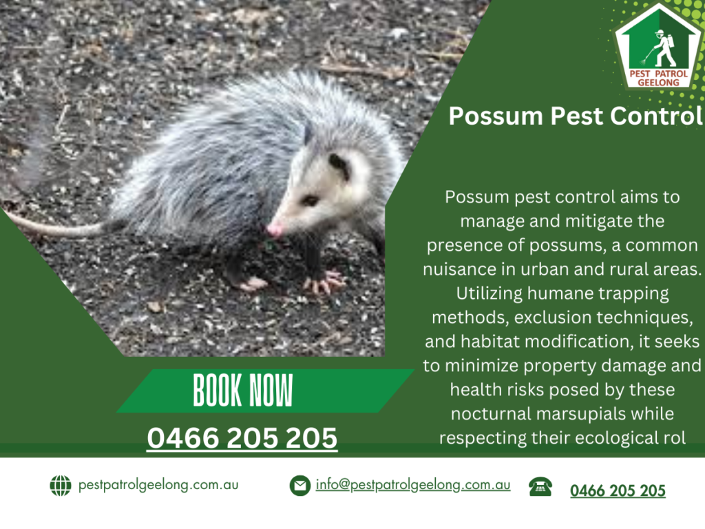 possum pest control 