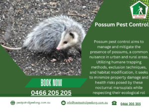 possum pest control