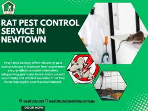 rats pest control service Newtown