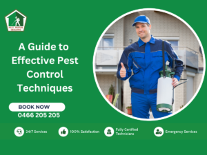 PEST CONTROL SERVICE