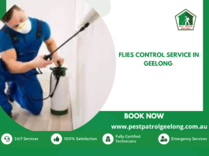 Flies control service in geelong