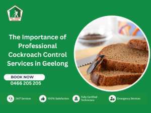 Cockroach Control Services in Geelong