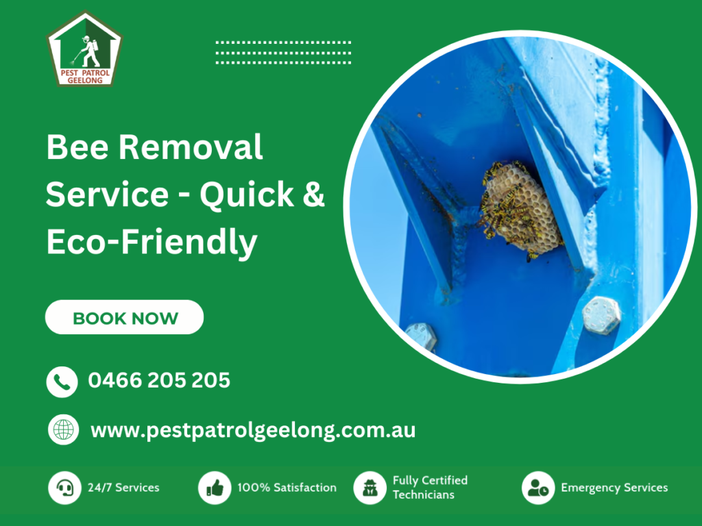 Bee Removal Service 