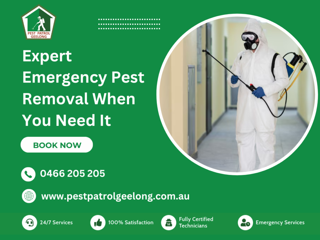 Best Emergency Pest Removal